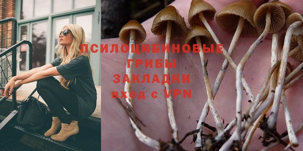 марки lsd Алексеевка