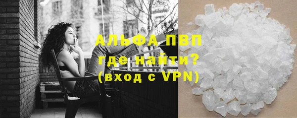 прущие грибы Армянск